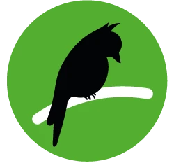 Aves