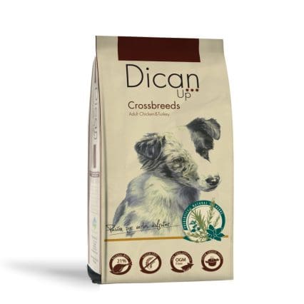 Dican Up Crossbreeds Adulto