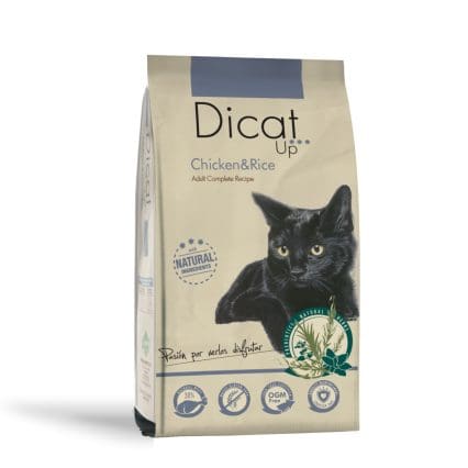 Dicat Up Adulto Pollo y Arroz